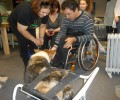 Θεσσαλονίκη: Η ανάπηρη σκυλίτσα Φράνκα βοηθάει ανθρώπους με ειδικές ανάγκες