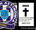 Μεγαλόπολη: Επ’ αυτοφώρω σύλληψη δύο ανδρών για θανάτωση σκύλου με φόλα