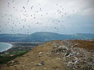 Ε.Ε.: Κατά της Ελλάδας για τον σκουπιδότοπο που «πνίγει» τις Caretta
