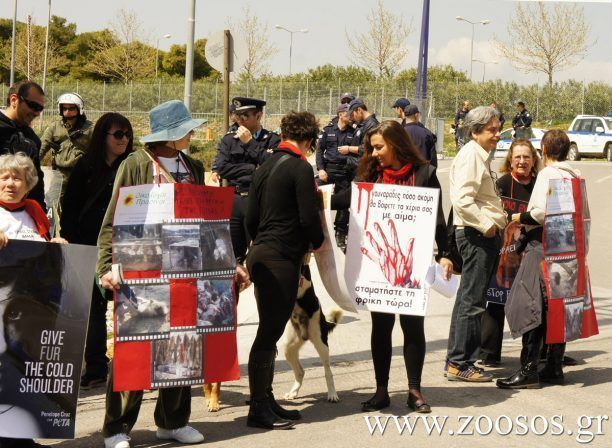 Γιατί η εκτροφή γουνοφόρων και το γουνεμπόριο πρέπει να σταματήσει;