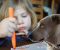 Μαθήματα αγάπης για τα ζώα στα σχολεία της Λέσβου