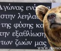 «Χρυσές» ανακρίβειες εις βάρος μας για τον ΑΡΚΤΟΥΡΟ και την «επένδυση» στις Σκουριές