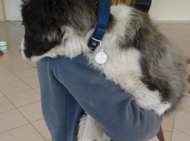 Κοζάνη: Συνελήφθη επειδή ξυλοκόπησε τον σκύλο
