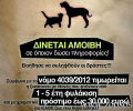 Βόλος: Δίνουν 1.000 ευρώ σε όποιον καταγγείλει ποιος βασάνισε τον σκύλο