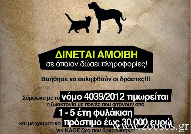 Βόλος: Δίνουν 1.000 ευρώ σε όποιον καταγγείλει ποιος βασάνισε τον σκύλο