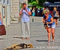 Κέρκυρα: Οι τουρίστες φωτογραφίζουν τ’ αδέσποτα