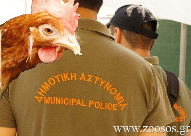 6.000 ευρώ πρόστιμο για παράνομη πώληση πτηνών στο κέντρο της Αθήνας