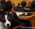 Φιλοζωικό σεμινάριο στη Σχολή Αστυφυλάκων Κομοτηνής από την Π.Φ.Π.Ο.