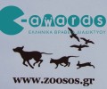 Ψηφίστε zoosos στα Ελληνικά Βραβεία Διαδικτύου