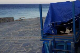 Η ψιψίνα στη Δονούσα