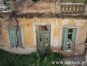 Χανιά: Κρέμασαν σκυλίτσα τα 6 κουτάβια της έκλαιγαν κάτω από το πτώμα της