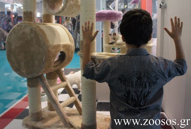 Χανιά: 2.250 παιδιά διδάχτηκαν ν’ αγαπούν τα ζώα