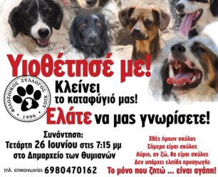Κλείνει το καταφύγιο του Φιλοζωικού Συλλόγου Χίου