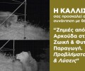 Καστοριά: Συνάντηση για τα μέτρα πρόληψης σχετικά με τις ζημιές που προκαλεί η αρκούδα