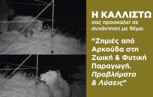 Καστοριά: Συνάντηση για τα μέτρα πρόληψης σχετικά με τις ζημιές που προκαλεί η αρκούδα