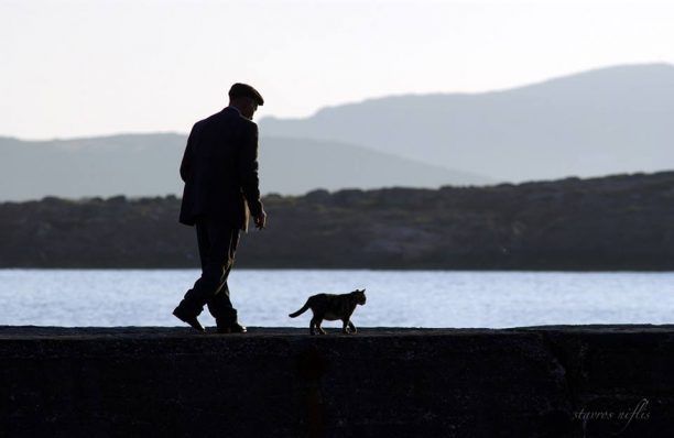 Μια γάτα η κατάλληλη συντροφιά για έναν μοναχικό περίπατο στην Πάρο…