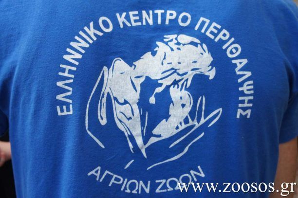 Μαθήματα πρώτων βοηθειών για τα άγρια ζώα και πτηνά της Κρήτης από το Ε.Κ.Π.Α.Ζ.