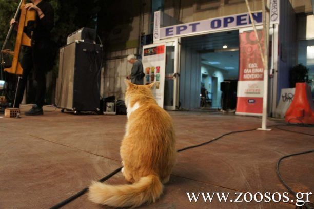 Η Ερτούλα «πρωταγωνίστρια» στη σκηνή του Ραδιομεγάρου