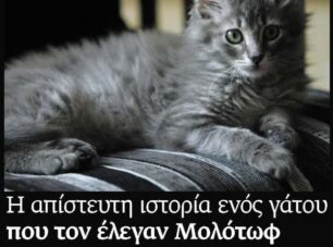 Μια ιστορία για μια φουντωτή ουρίτσα που χάθηκε αλλά την ξαναβρήκαν