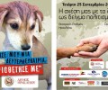 Θεραπευτική επαφή με σκύλους και στο Ηράκλειο της Κρήτης