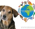 Ενημερώνουν τους δημοτικούς συμβούλους για τις αρμοδιότητες του Δήμου Χανίων σχετικά με τα ζώα