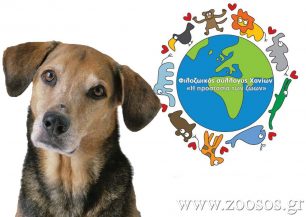 Ενημερώνουν τους δημοτικούς συμβούλους για τις αρμοδιότητες του Δήμου Χανίων σχετικά με τα ζώα