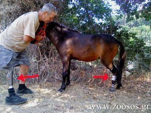 Σκύρος: Η Ελπίδα και ο Λευτέρης φορούν τεχνητό μέλος