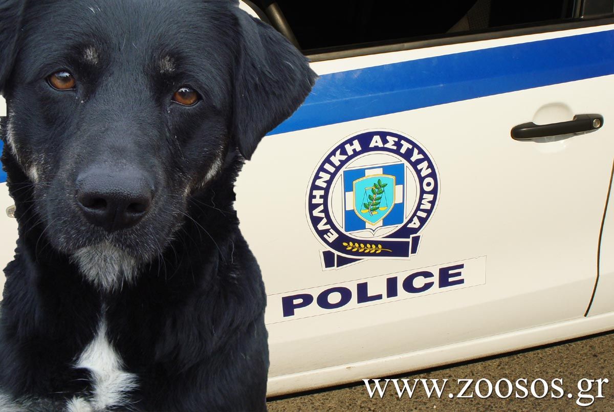 Με Προεδρικό Διάταγμα ιδρύεται η Αστυνομία Ζώων – Τμήμα Προστασίας Ζώων της ΕΛ.ΑΣ.