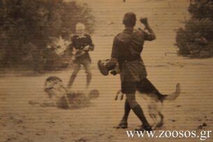 «Άγρια, γυμνασμένα σκυλιά χρησιμοποιούνται για το κυνήγι των “μαύρων εχθρών”»