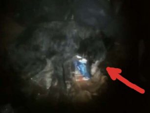 Κάμπος Σαγήνης Ορεστιάδας: Έσπασε στο ξύλο σκύλο τον έχωσε σε τσουβάλι & τον πέταξε ζωντανό στα σκουπίδια! (Βίντεο)