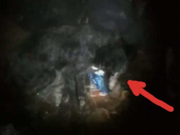 Κάμπος Σαγήνης Ορεστιάδας: Έσπασε στο ξύλο σκύλο τον έχωσε σε τσουβάλι & τον πέταξε ζωντανό στα σκουπίδια! (Βίντεο)