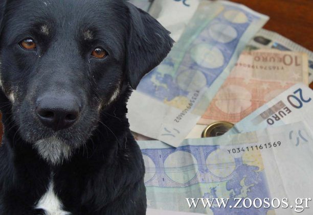 Άρειος Πάγος: Αποζημίωση 8.000 ευρώ σε γυναίκα μετά από δάγκωμα σκύλου στον Άγιο Νικόλαο Κρήτης