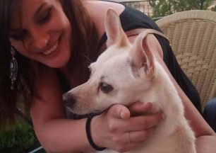Χάθηκε σκύλος ράτσας Πίνσερ στο Μαρούσι Αττικής