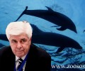 «Παραθυράκι» σε νομοσχέδιο του Υπ. Υγείας για να νομιμοποιήσουν τις παραστάσεις των δελφινιών
