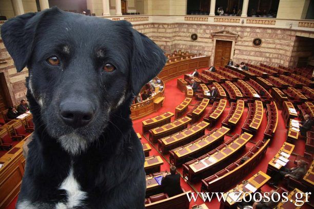 Δείτε στο Κανάλι της Βουλής τη συνεδρίαση της επιτροπής που θέλει τη νομιμοποίηση των παραστάσεων με ζώα στην Ελλάδα