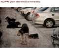 VPRC: Αδιάφοροι οι δήμοι και οι κάτοικοι της Περιφέρειας για τ’ αδέσποτα και τις κακοποιήσεις ζώων
