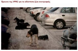 VPRC: Αδιάφοροι οι δήμοι και οι κάτοικοι της Περιφέρειας για τ’ αδέσποτα και τις κακοποιήσεις ζώων