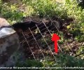 Σκύλος νεκρός από τον σεισμό στην Κεφαλλονιά