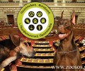 Π.Φ.Π.Ο.: Τα θετικά και τα αρνητικά των τροπολογιών για τα ζώα συντροφιάς