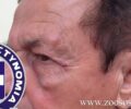 Χανιά: Κατέθεσε μήνυση εναντίον του άνδρα που τον ξυλοφόρτωσε επειδή νοιάστηκε για τον σκύλο