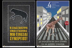 Θεσσαλονίκη: Έκθεση αφίσας με πρωταγωνιστές τ' αδέσποτα