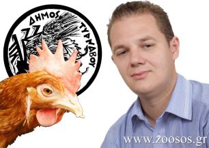 Δήμαρχος Τυρνάβου: Καταδικάζει την κακοποίηση των πουλερικών στο καρναβάλι (βίντεο)