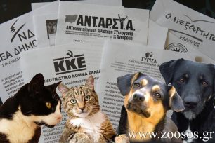 Ρωτήστε τους υποψήφιους τι θα κάνουν για τα ζώα στην περιοχή τους!