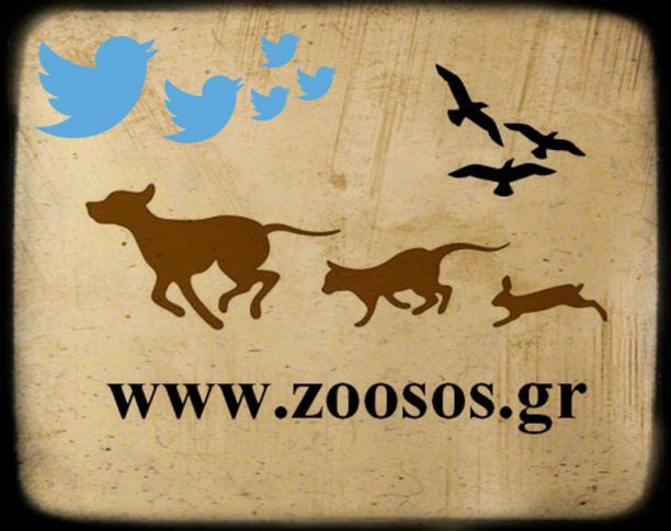 Ακολουθήστε μας στο twitter @zoosos #zoosos