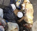 Μυλοπόταμος Ρεθύμνου: Πέταξε στα σκουπίδια ζωντανό τον άρρωστο σκύλο