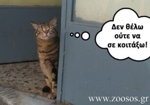 Απαξιώ...