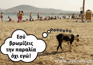 Εσύ κατουράς στη θάλασσα και κατηγορείς τα ζώα ότι μολύνουν το περιβάλλον!