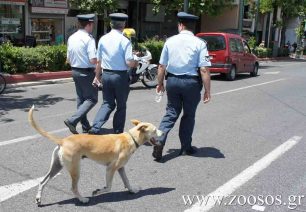 Σεμινάριο στο Αστυνομικό Μέγαρο Χανίων για την εφαρμογή της φιλοζωικής νομοθεσίας