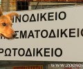 Γιατί δεν επιλέχτηκε η Αριστοτέλεια Δόγκα για Εισαγγελέας Προστασίας Ζώων Αθηνών;