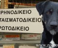Μεσολόγγι: Το δικαστήριο αθώωσε τον δολοφόνο του σκύλου που ισχυρίστηκε ότι το ζώο δάγκωσε το παιδί του στο Αιτωλικό